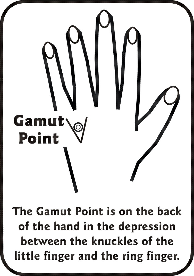 Gamut Point